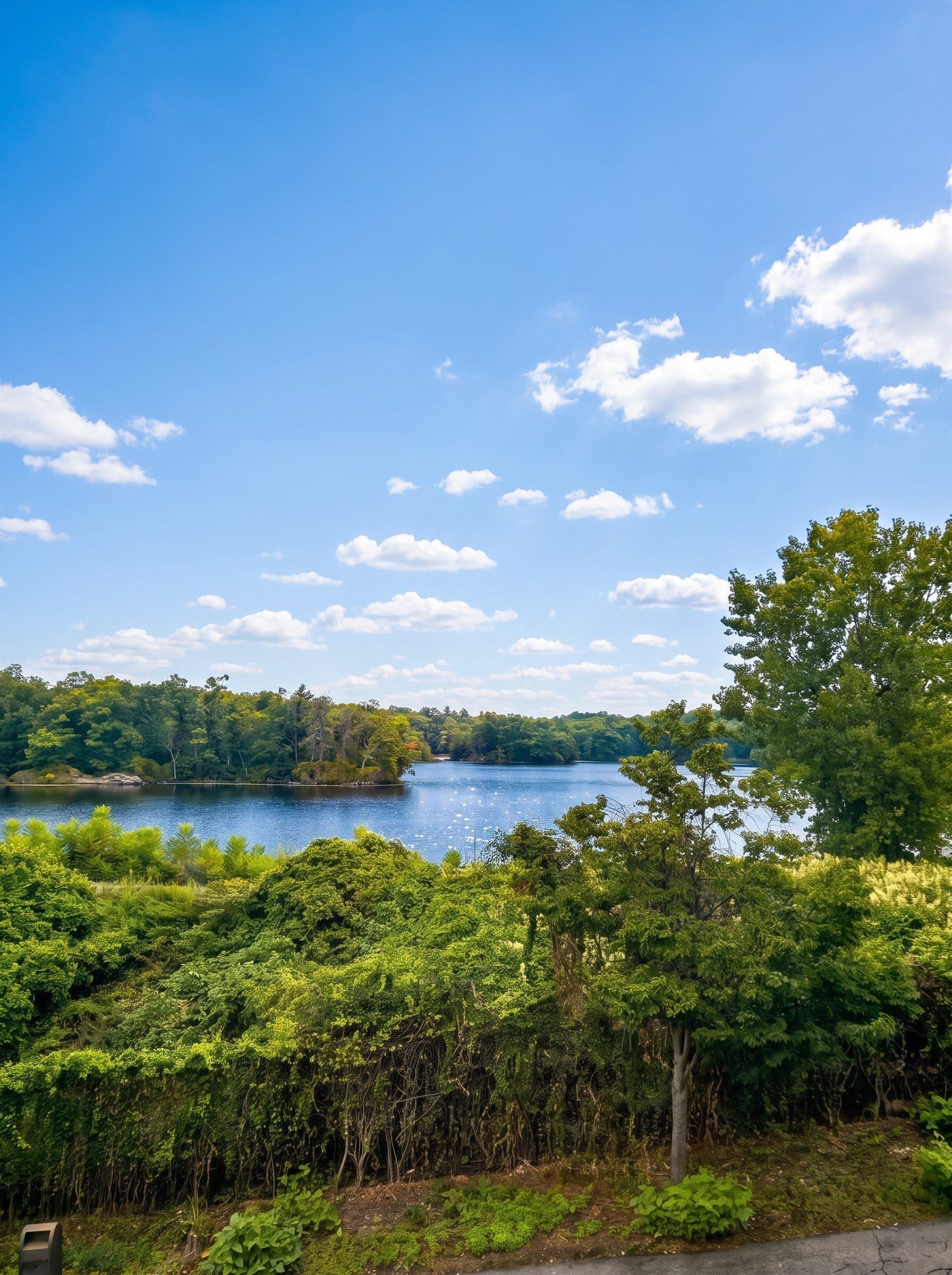 53 Aquavia Rd, Medford, MA, 53 Aquavia Rd, Medford, MA Photo #2