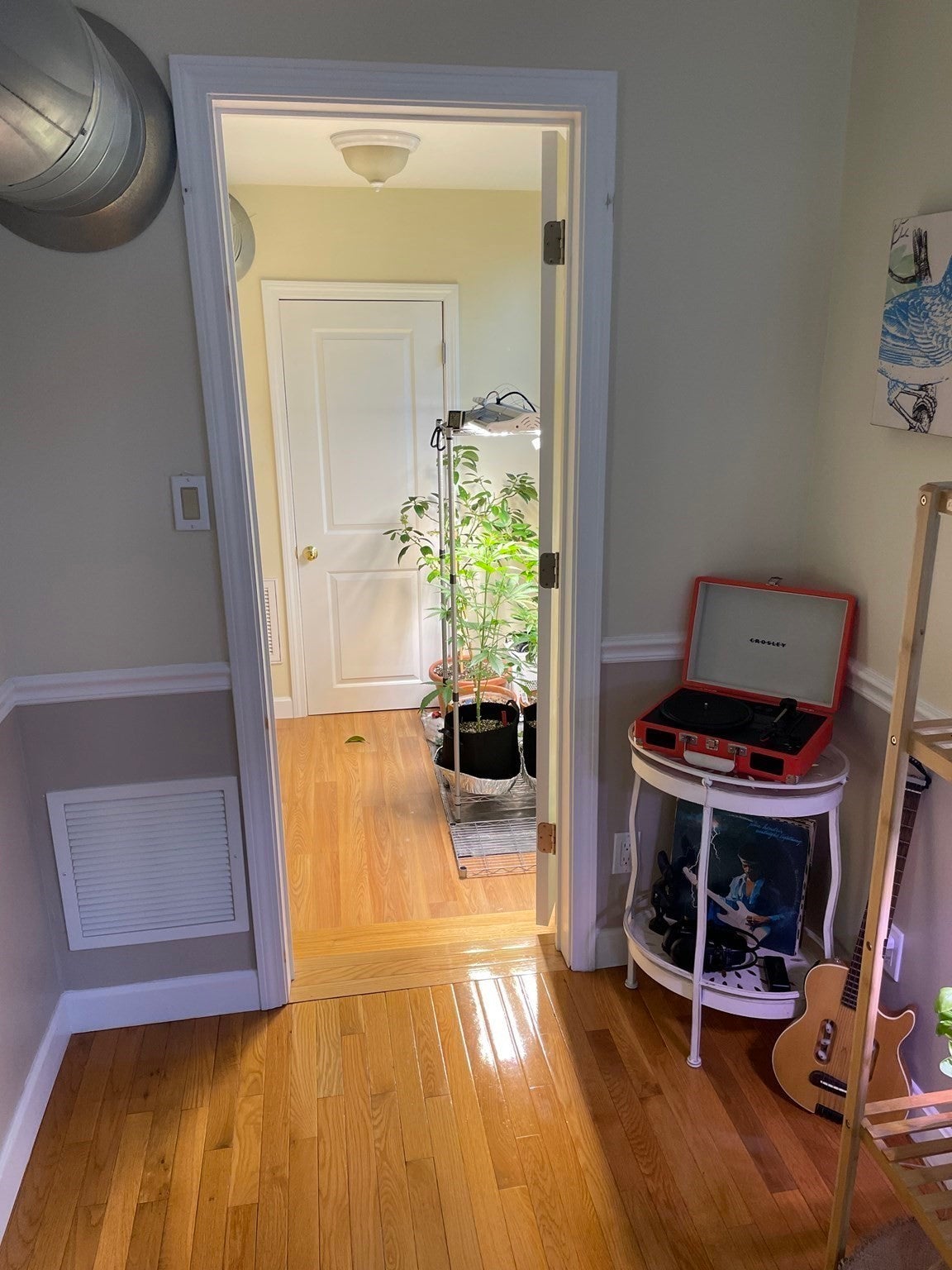 651 Bennington Street, Boston, MA, 651 Bennington Street, Boston, MA Photo #21