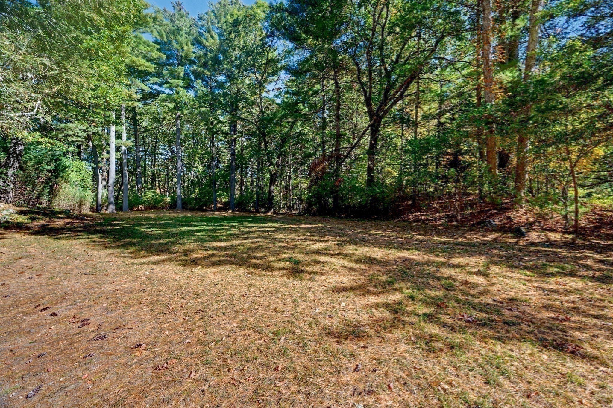 933 South St, Needham, MA Photo #36