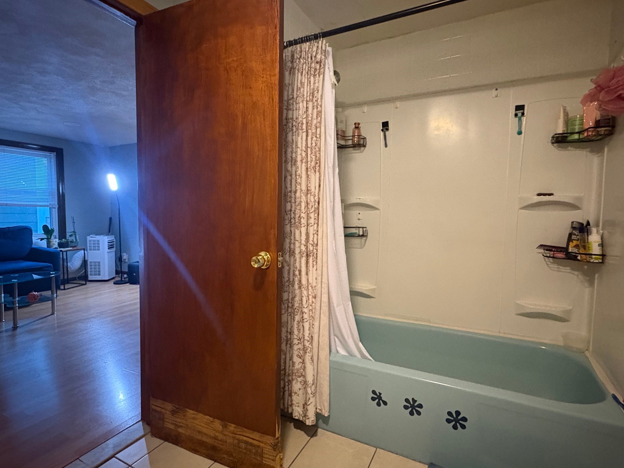 477 Sumner Street #2, Boston, MA, 477 Sumner Street #2, Boston, MA Photo #11
