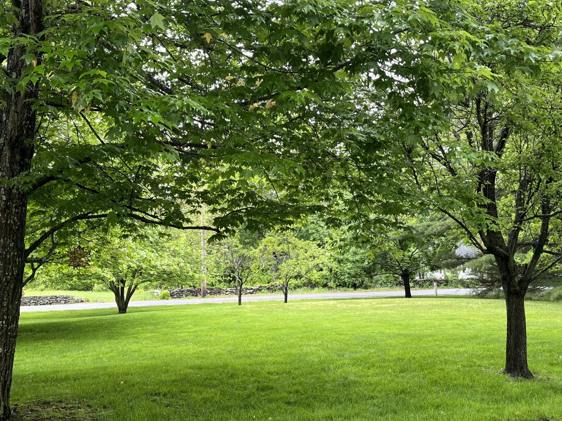 1379 Williams Street, Dighton, MA Photo #39