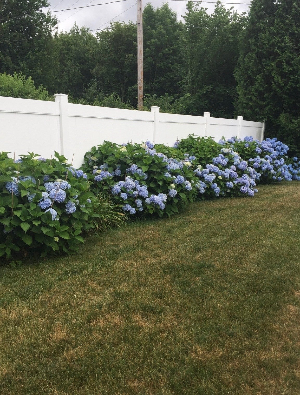 1379 Williams Street, Dighton, MA Photo #37