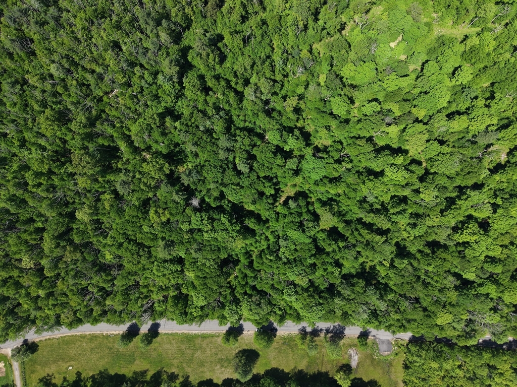 102 Hollow Rd