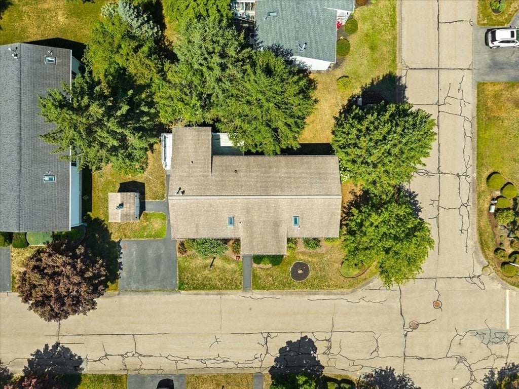 31 Fieldwood Dr