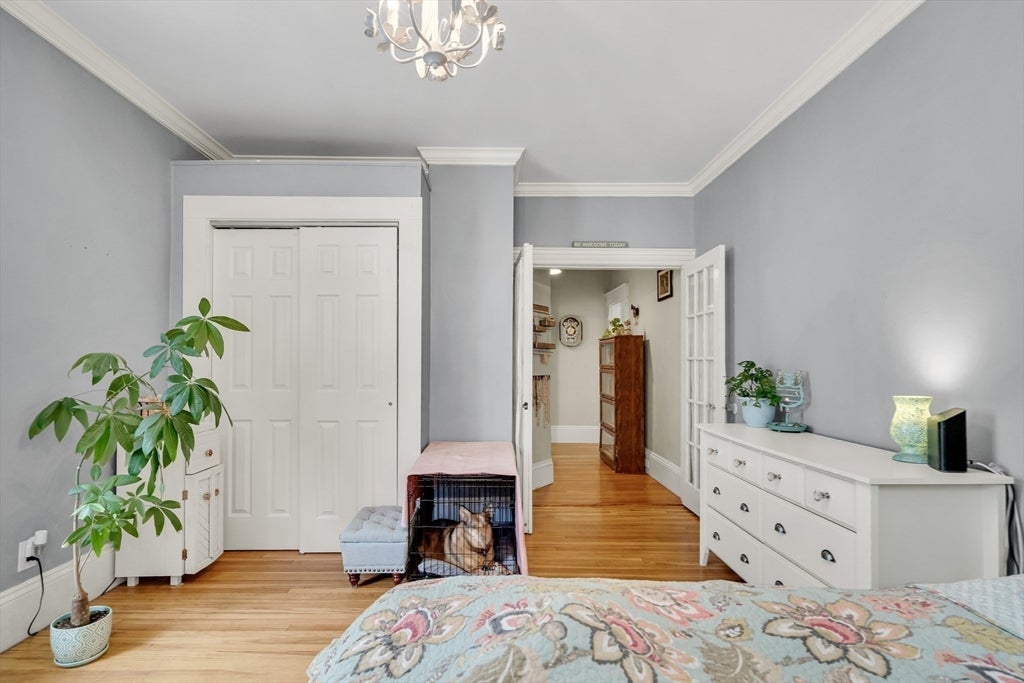 24 Cabot ST #1, Salem, MA, 24 Cabot ST #1, Salem, MA Photo #11