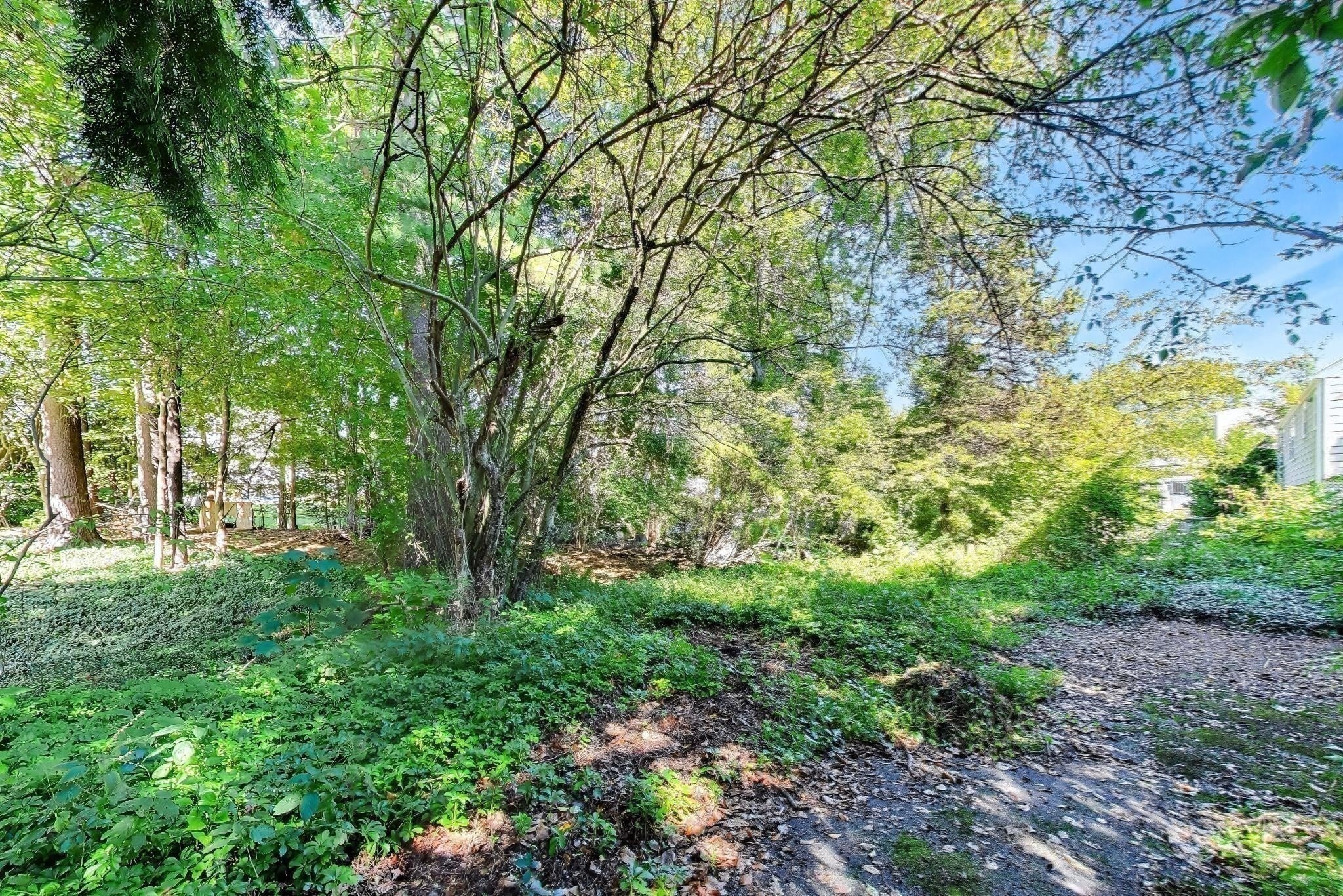 72 Sexton Ave, Westwood, MA Photo #30