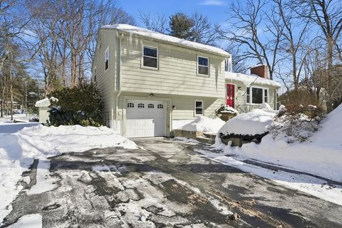 Photo of 19 Lantern Ln, Chelmsford, MA 01824 (MLS # 73477409)