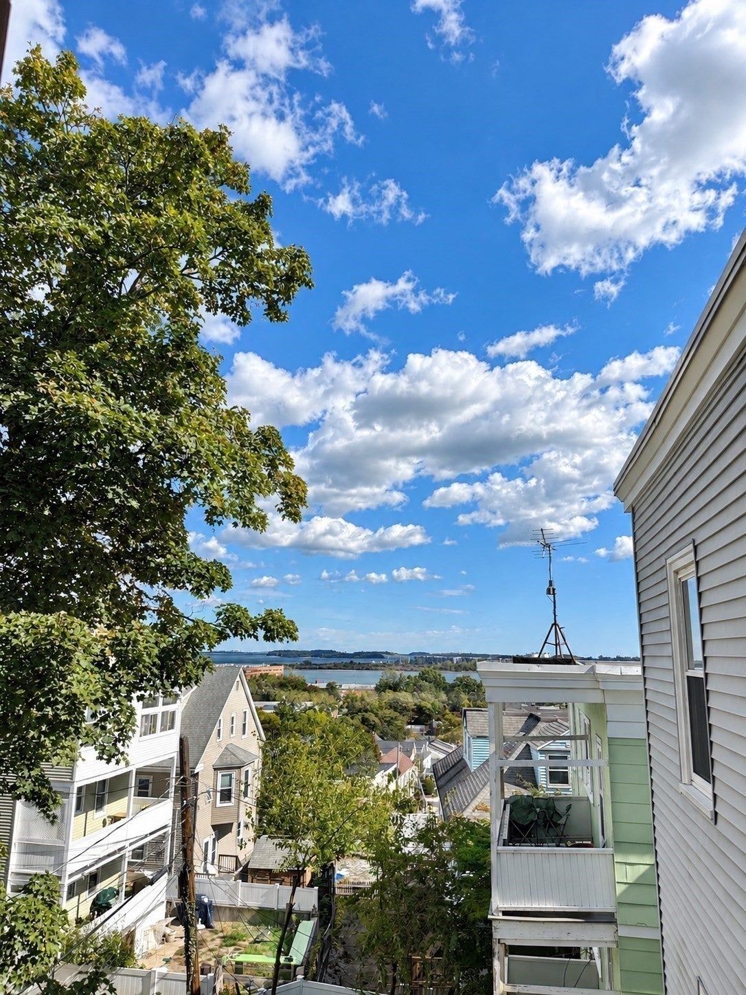 19 South Munroe Terrace #3, Boston, MA, 19 South Munroe Terrace #3, Boston, MA Photo #20