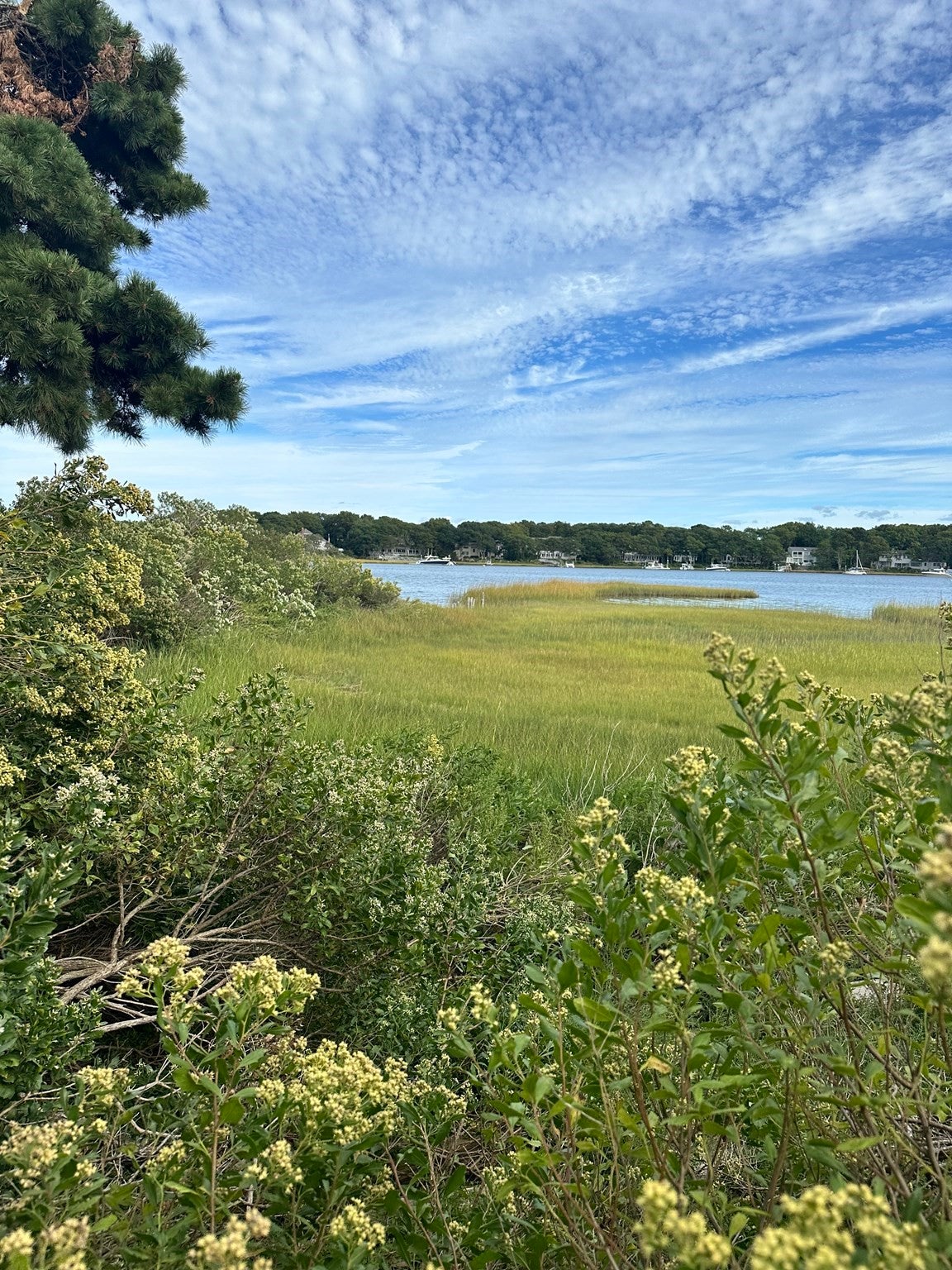 262 Monomoscoy Rd, Mashpee, MA Photo #7