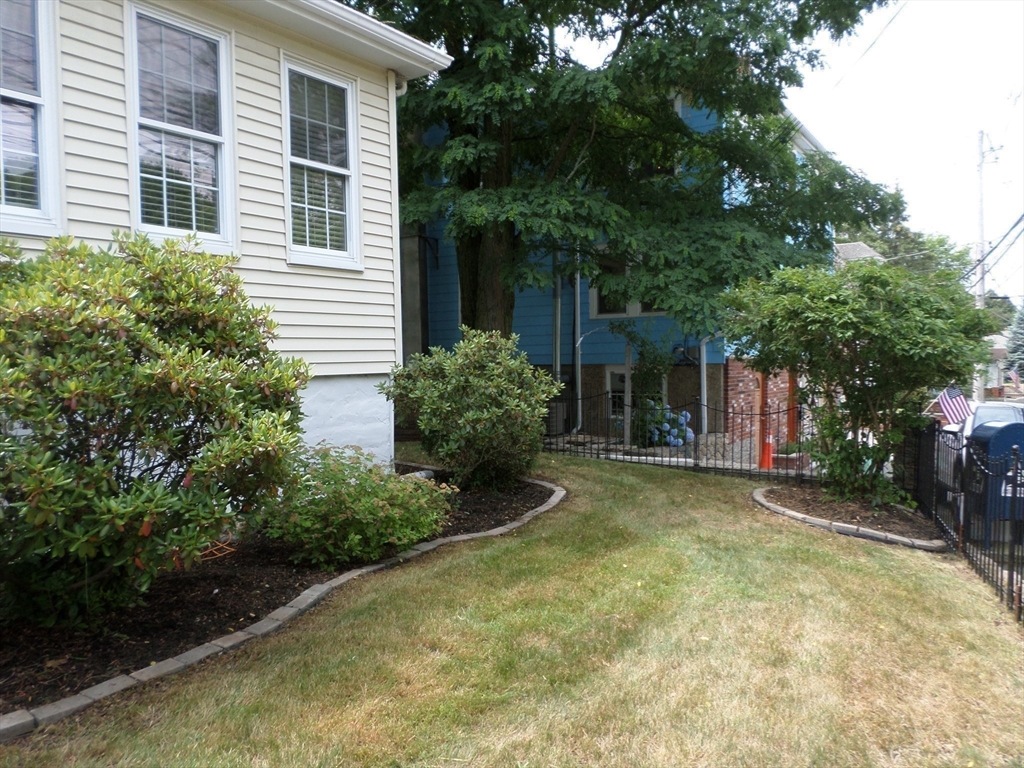 36 Forest St
