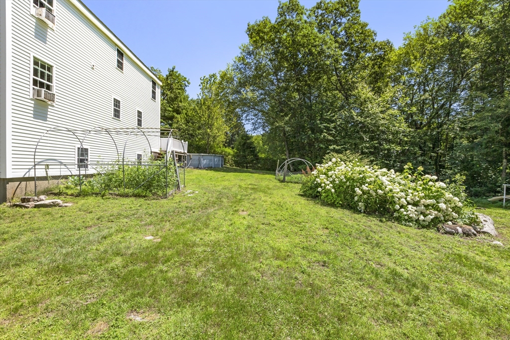 58 Webster Street