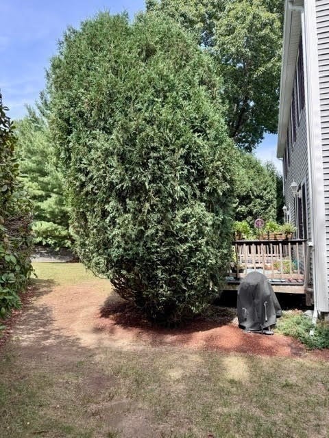 13 Waltham Dr #13, Plainville, MA, 13 Waltham Dr #13, Plainville, MA Photo #31