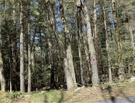 0 Burt Hill Rd Parcel 16
