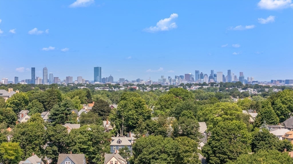 53 Bailey Street, Boston, MA, 53 Bailey Street, Boston, MA Photo #29