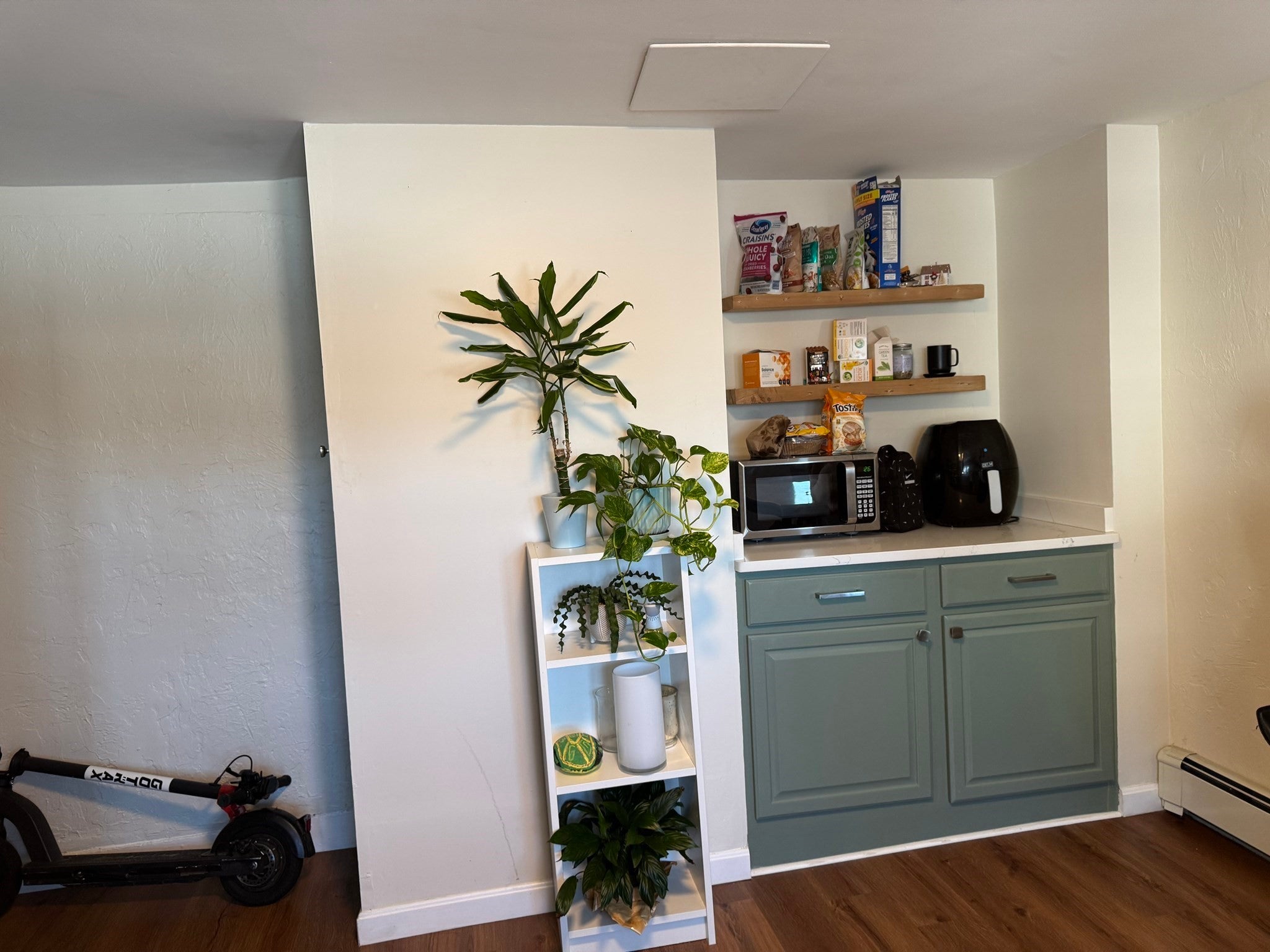 223 Trenton Street #2, Boston, MA Photo #3