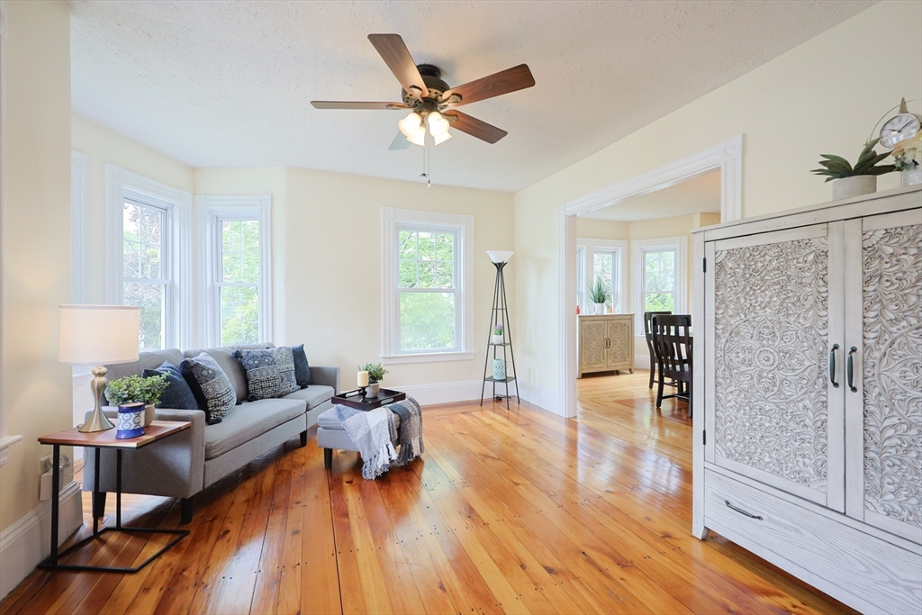 6 Minerva Street