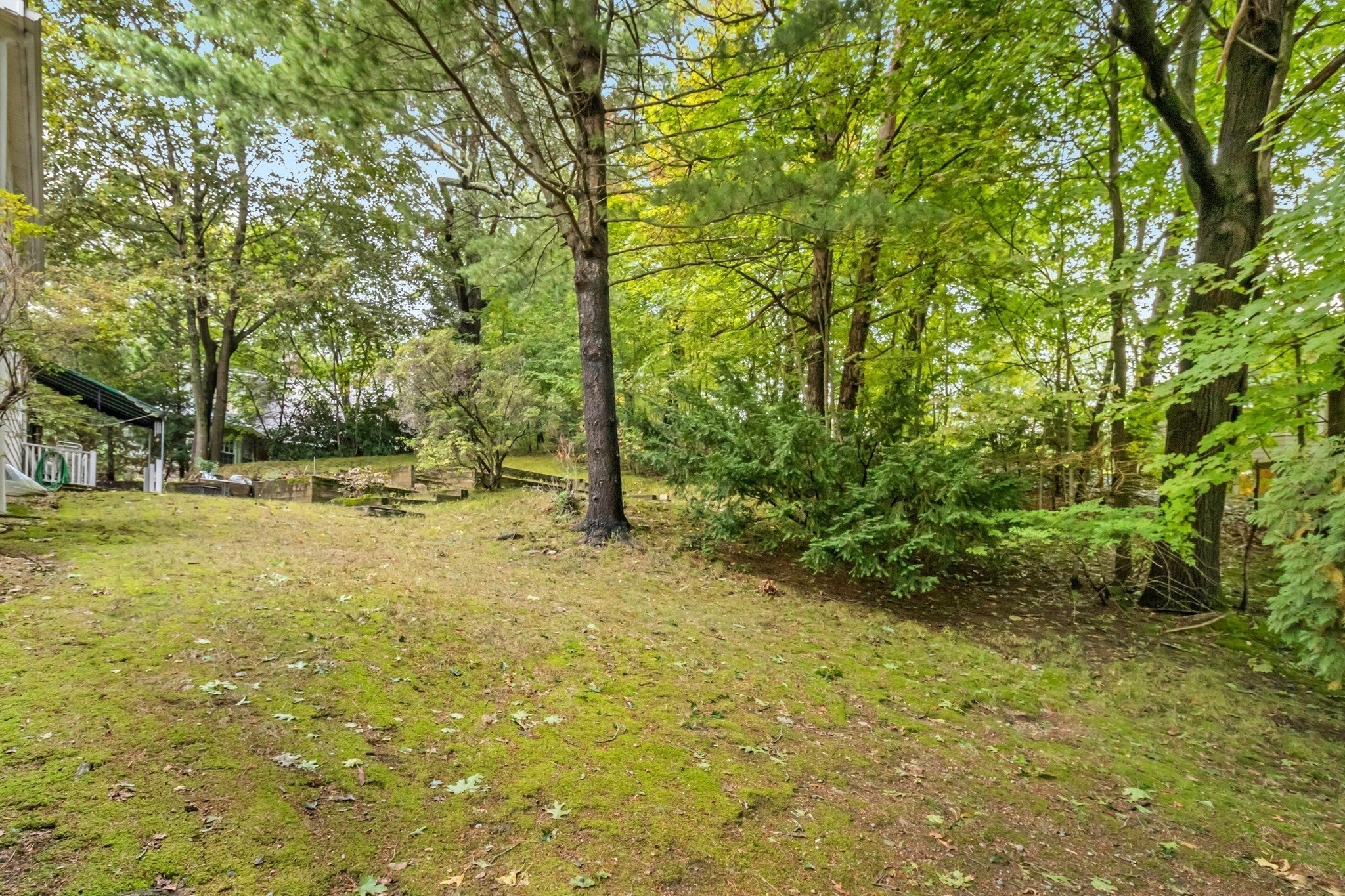 25 Arlington St, Winchester, MA, 25 Arlington St, Winchester, MA Photo #21