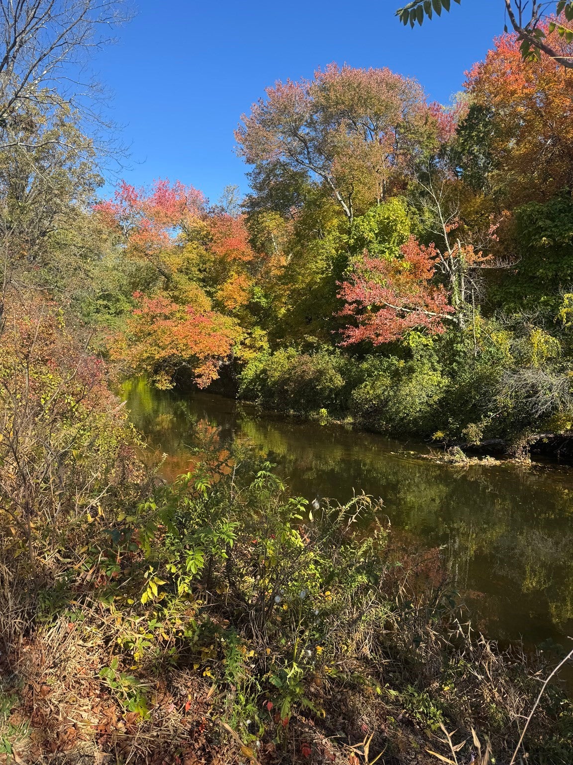20 Washington Park Dr #6, Andover, MA Photo #20