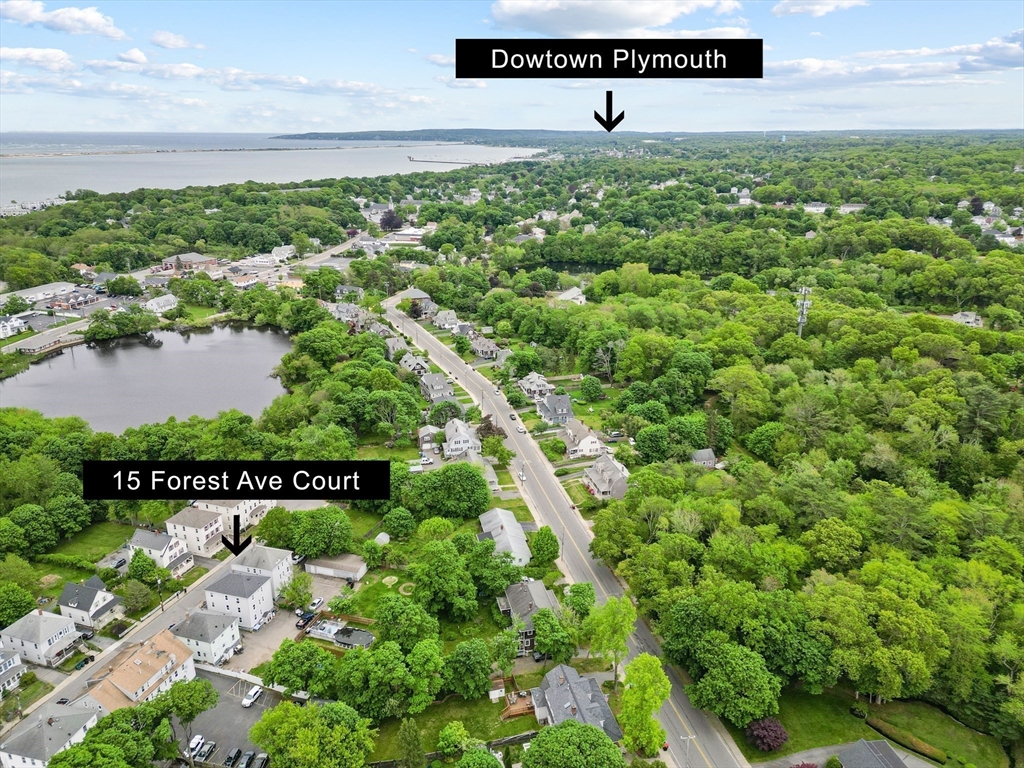 15 Forest Ave Ct