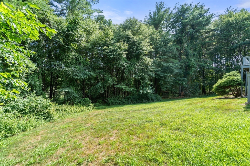 7 Larch Rd, Acton, MA, 7 Larch Rd, Acton, MA Photo #24