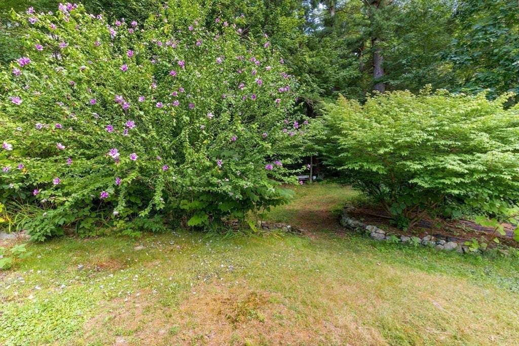 41 Everett St, Norfolk, MA, 41 Everett St, Norfolk, MA Photo #6
