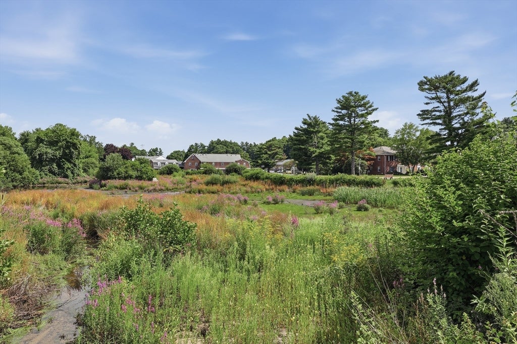 25 Jessica Dr #A, Stoughton, MA, 25 Jessica Dr #A, Stoughton, MA Photo #24