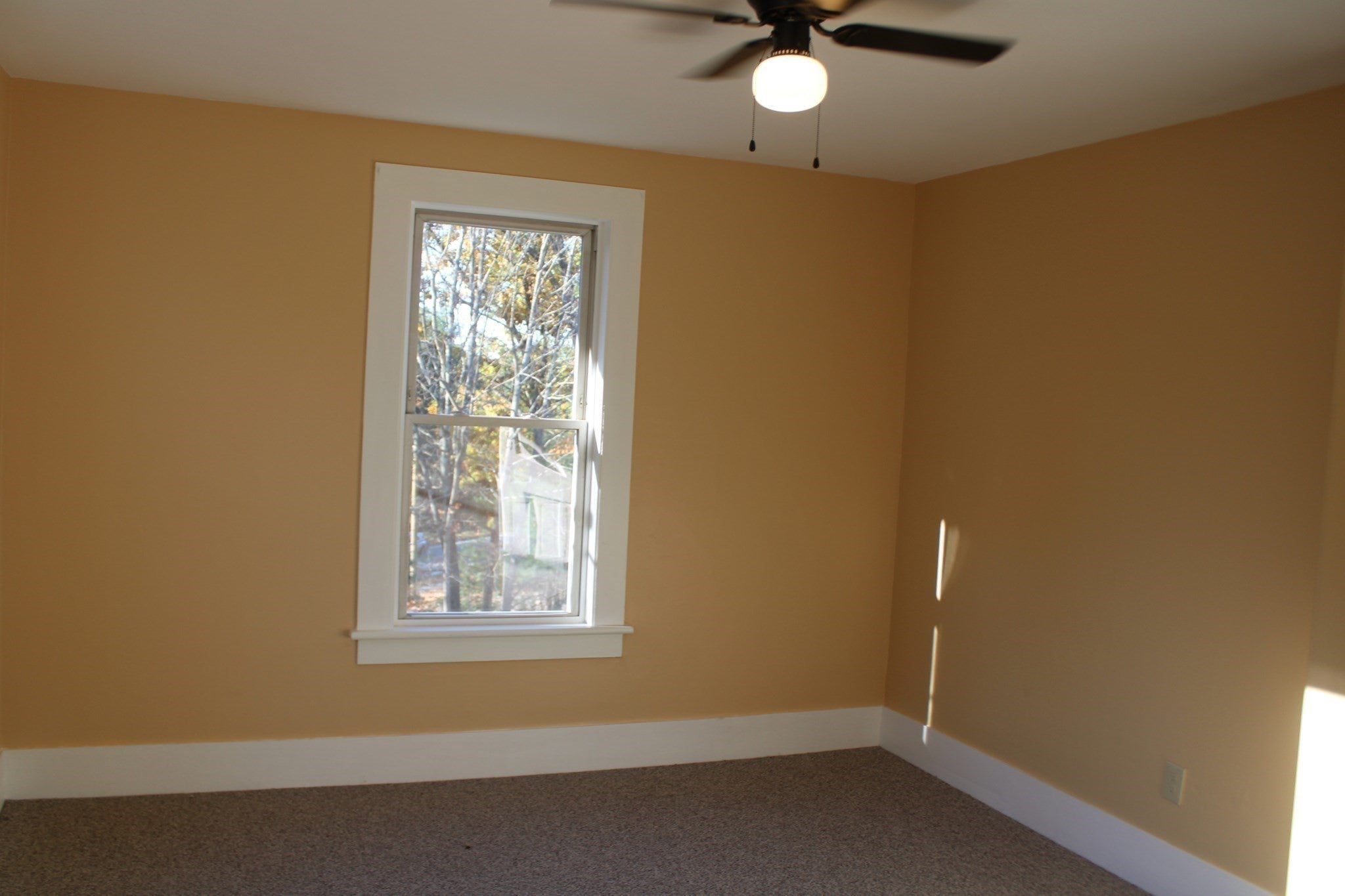 34 Moore St, Erving, MA Photo #24