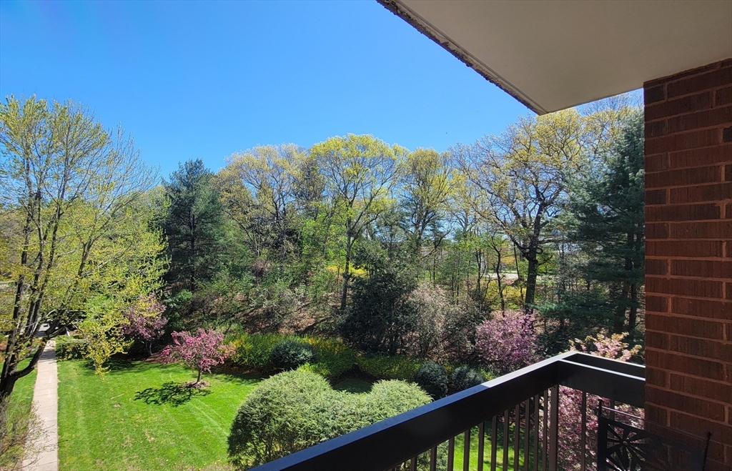 Newton, Massachusetts 02459, United States, 1 Bedroom Bedrooms, ,1 BathroomBathrooms,Residential,Active,122469