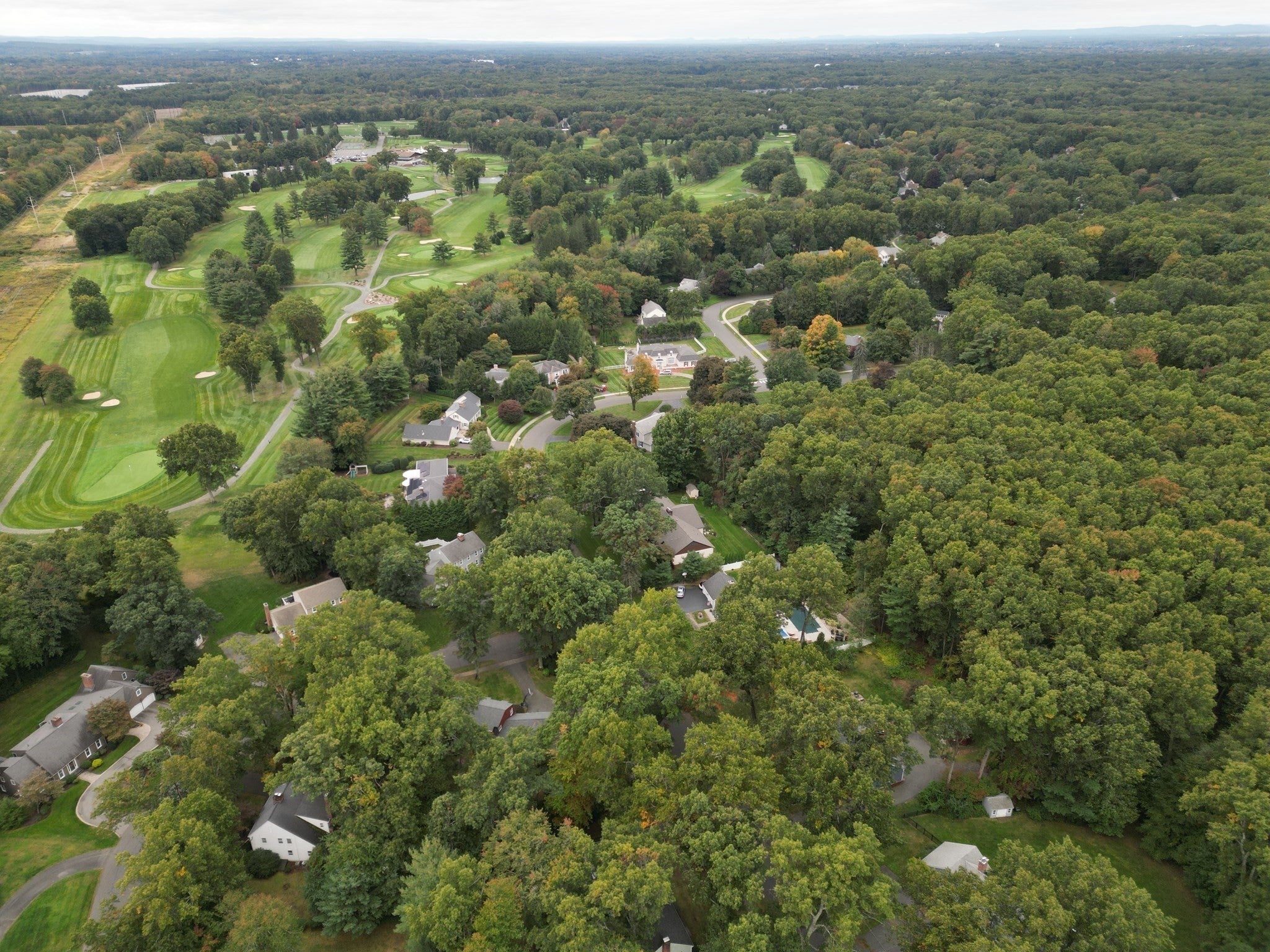 61 Wild Grove Lane, Longmeadow, MA Photo #34