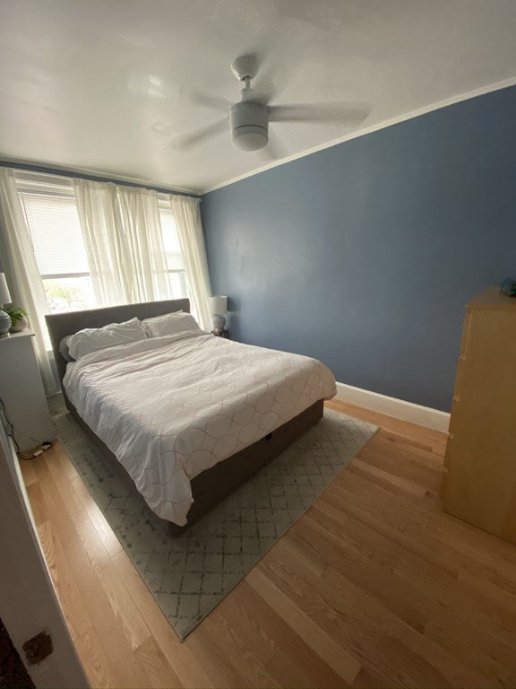 136 Broadway #3, Somerville, MA Photo #4