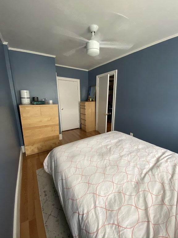 136 Broadway #3, Somerville, MA Photo #5