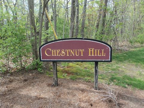 7 Bucky Dr 7 Bellingham MA 02019