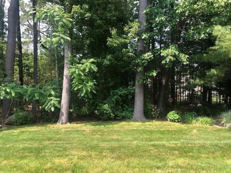 Wilbraham, Massachusetts 01095, United States, 2 Bedrooms Bedrooms, ,2 BathroomsBathrooms,Residential,Contingent,152613