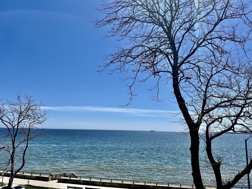 295 Lynn Shore Dr 702