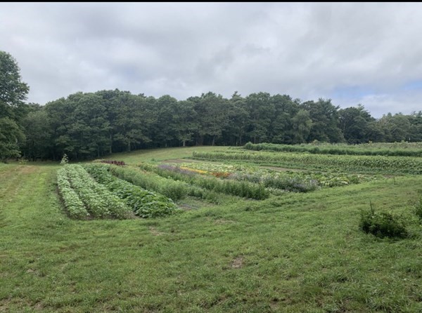 Falmouth, Massachusetts 02556, United States, 3 Bedrooms Bedrooms, ,2 BathroomsBathrooms,Residential,Active,43726