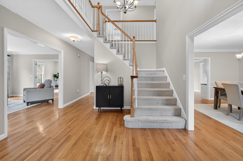 60 Rosemont Dr