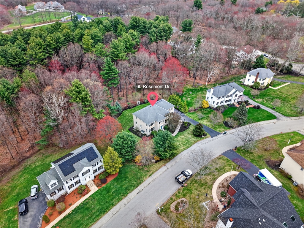 60 Rosemont Dr