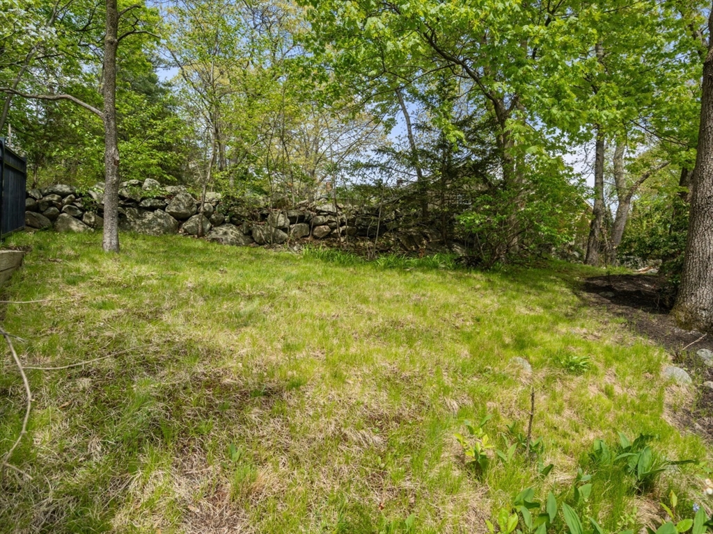 14 Arlmont Street, Arlington, MA Photo #23