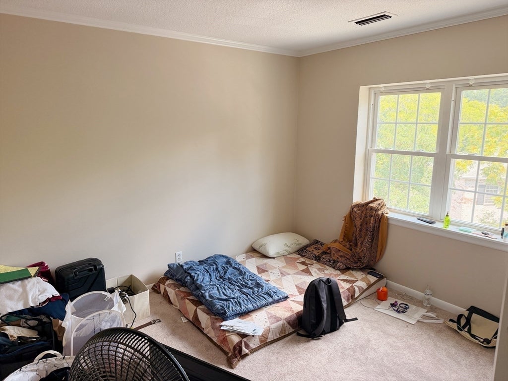 18 Lake Shore Terrace #3, Boston, MA, 18 Lake Shore Terrace #3, Boston, MA Photo #9