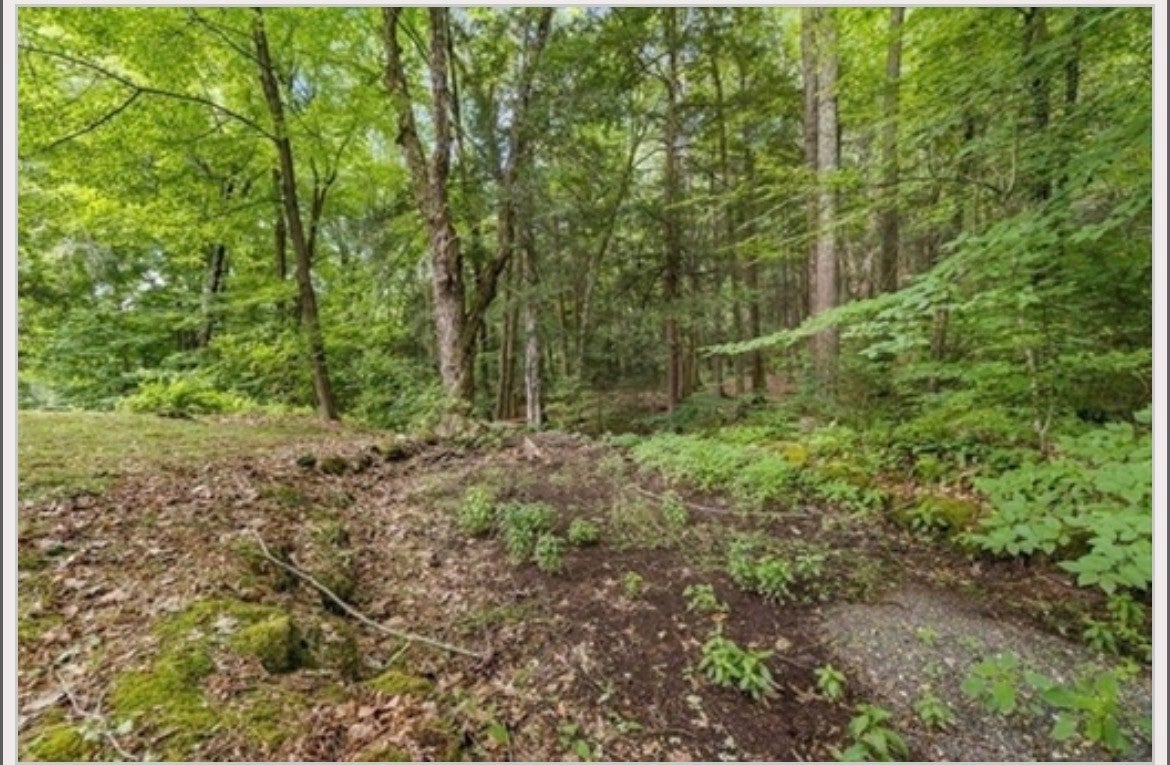 7 Logie Ln, Southwick, MA, 7 Logie Ln, Southwick, MA Photo #6