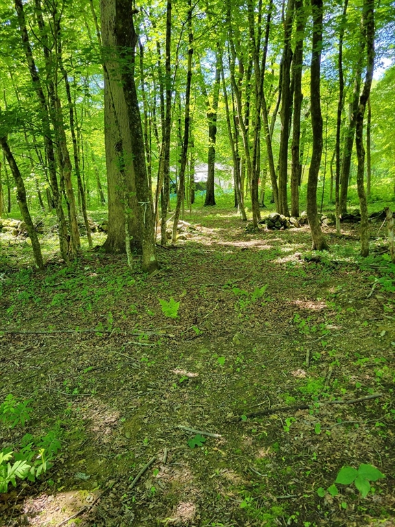 Lot 7 Daniels Rd