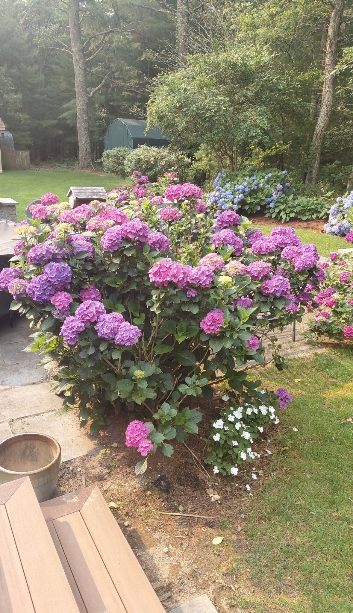 15 Tobisset St, Mashpee, MA Photo #10