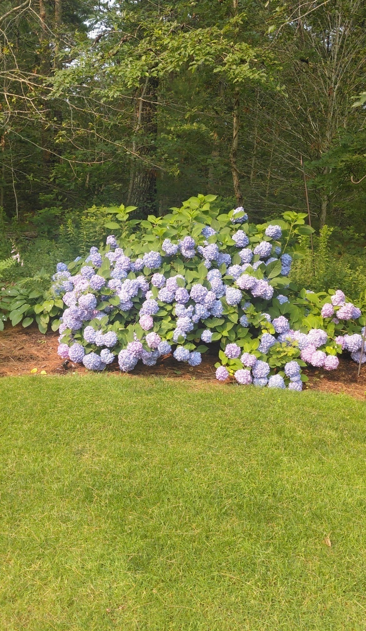 15 Tobisset St, Mashpee, MA Photo #7