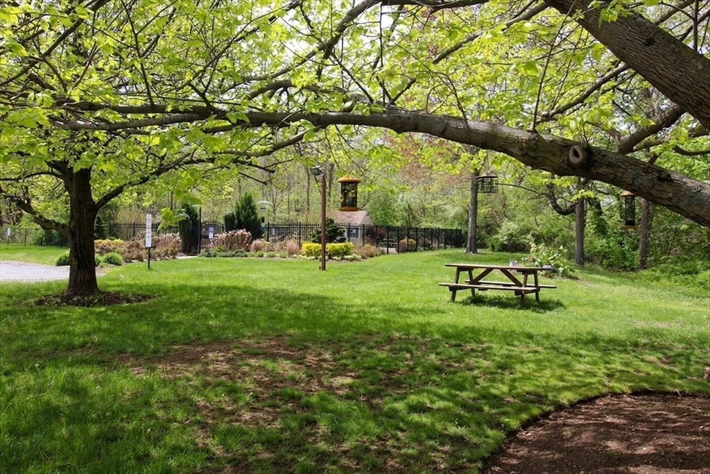 96 Old Colony Ave 227