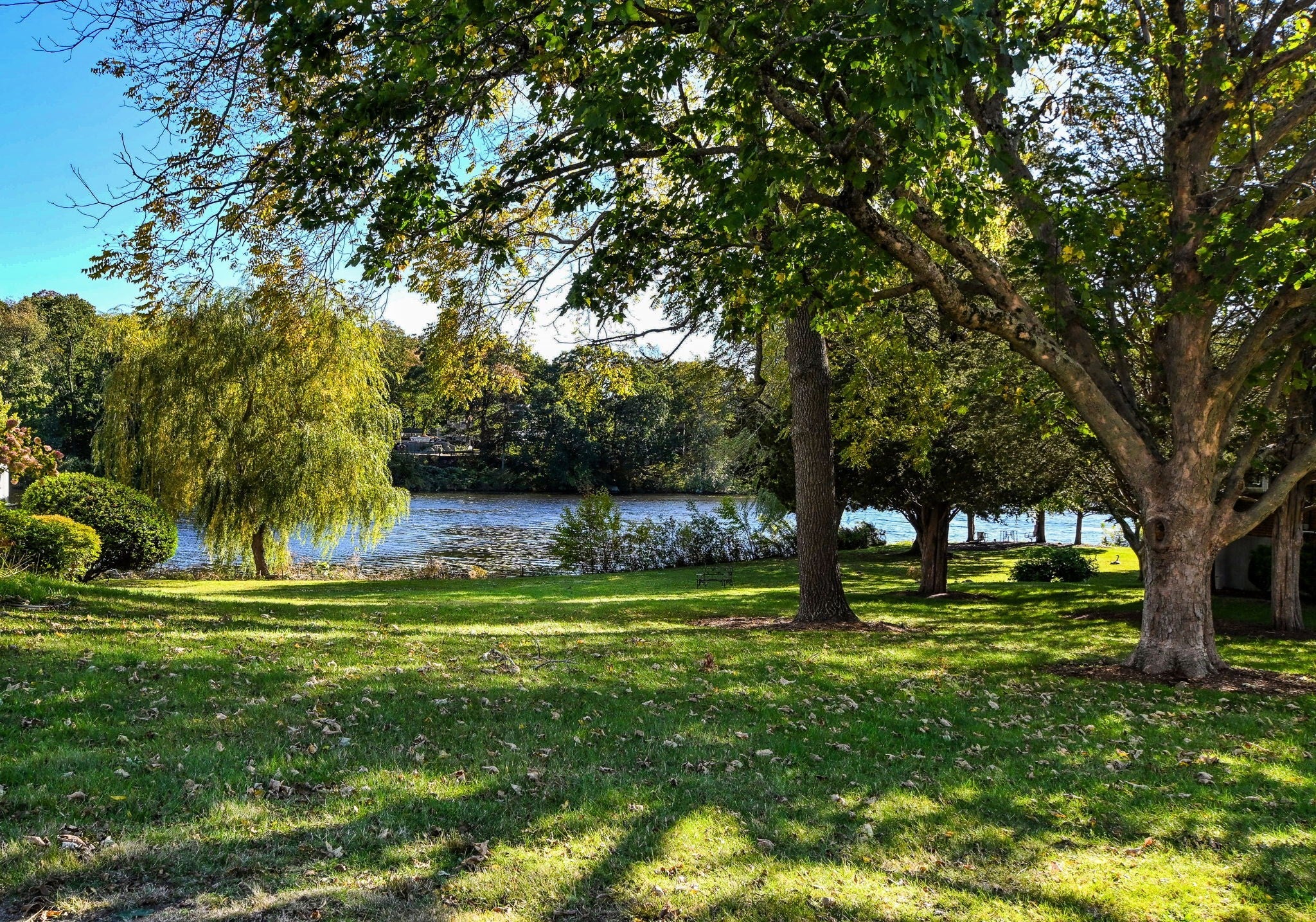 18 Lakeside Ave