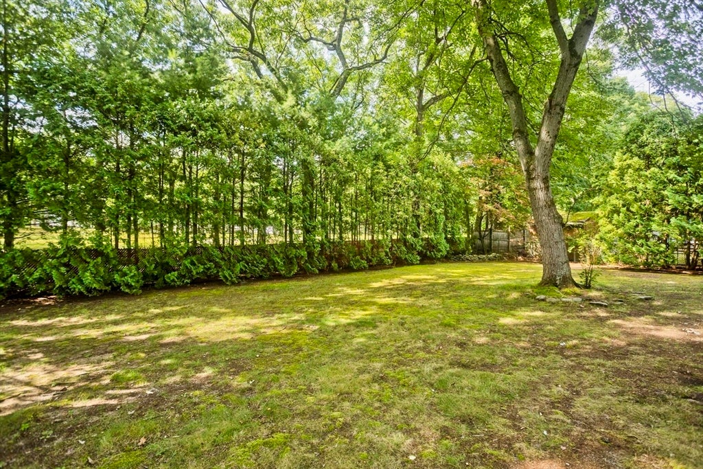127 Szetela Drive, Chicopee, MA Photo #37