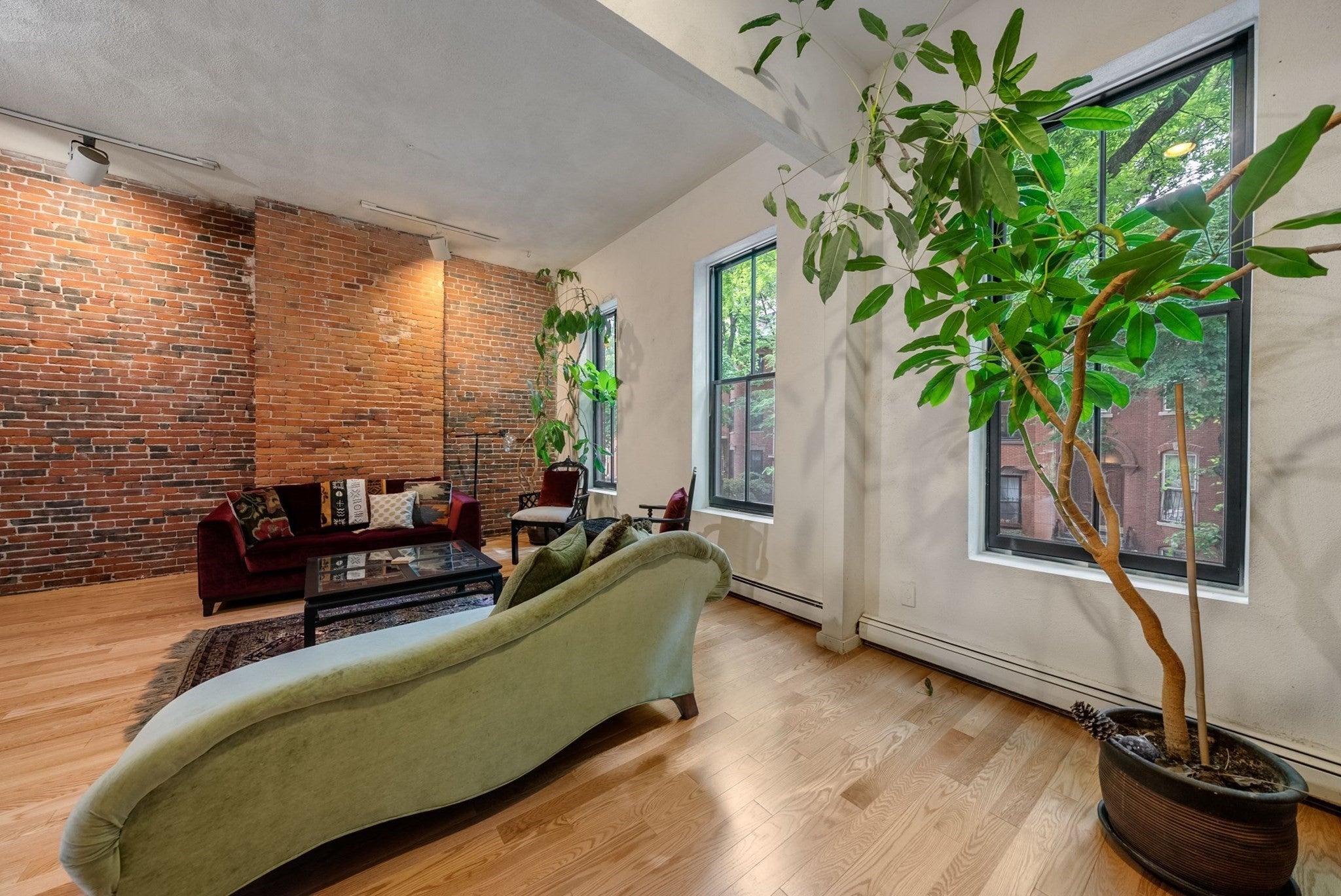 50 E Springfield St 2