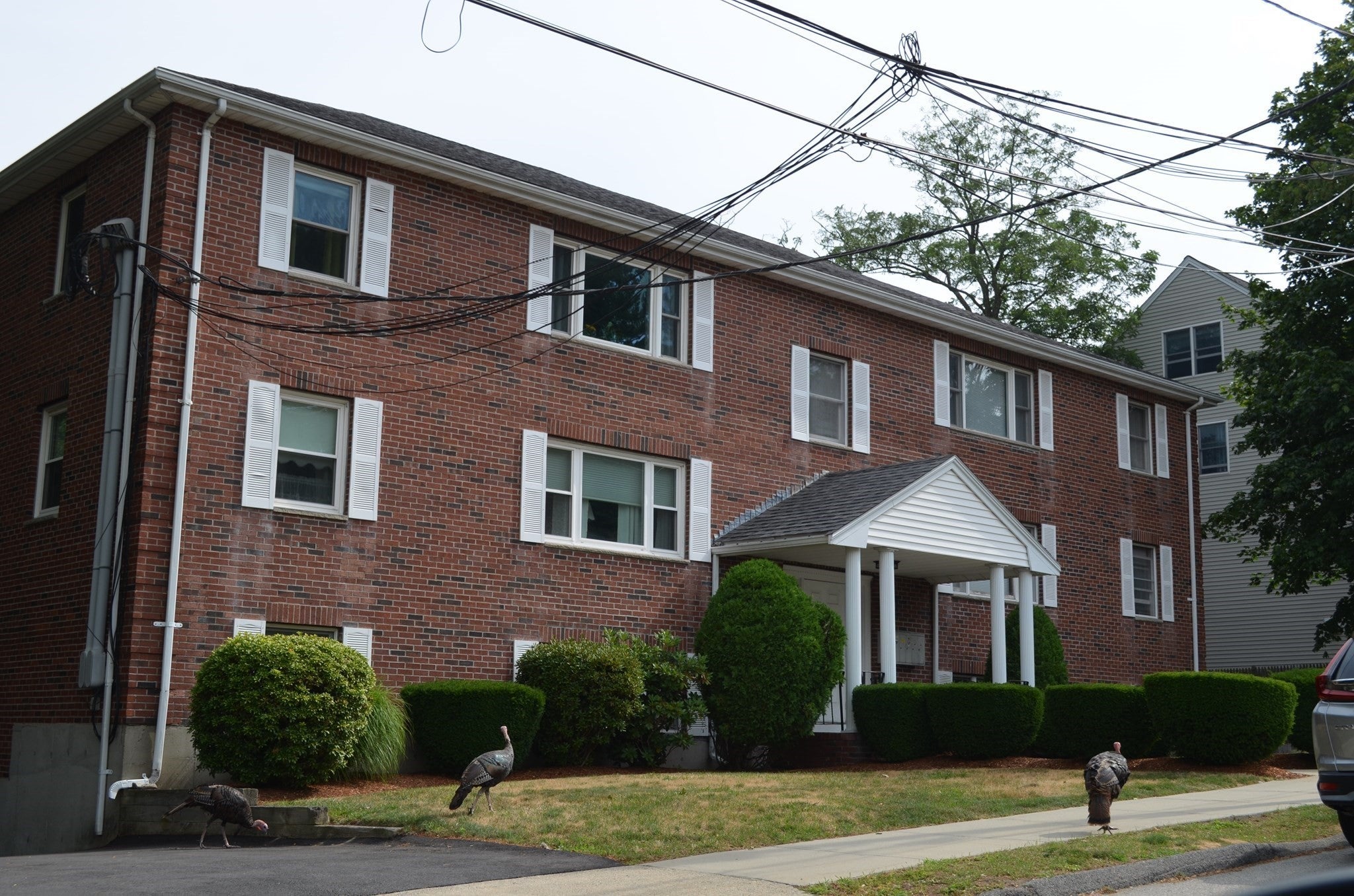 22 Roosevelt Rd 4, Quincy MA 02169