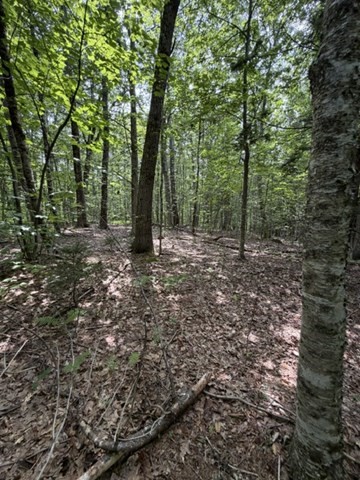 00 Cyrus Stage Rd