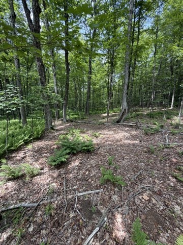 00 Cyrus Stage Rd